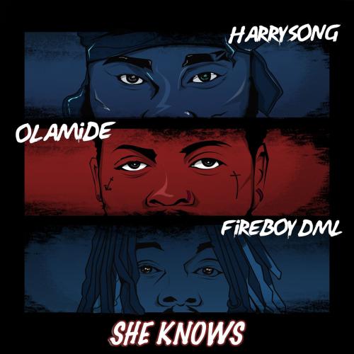 Harrysong - She Knows Ft. Fireboy DML, Olamide