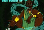 Buddynice - Bush Doctor [EP]